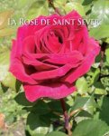 rose-de-st-sever